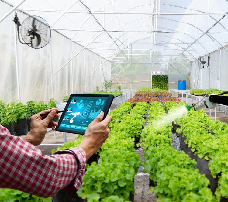 samsun akıllı bahçe sistemleri otomatik sulama kurulumu